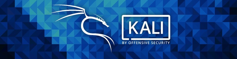 Kali Linux — Audits de sécurité
